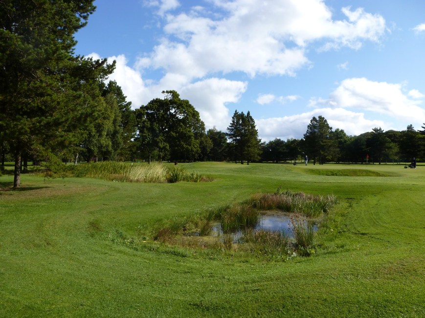 The ponds at the 5th (Chapter 44)