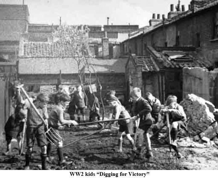 This image has an empty alt attribute; its file name is digging.jpg